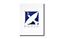 Peace Dove Holiday Card